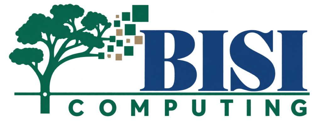 BISI Computing